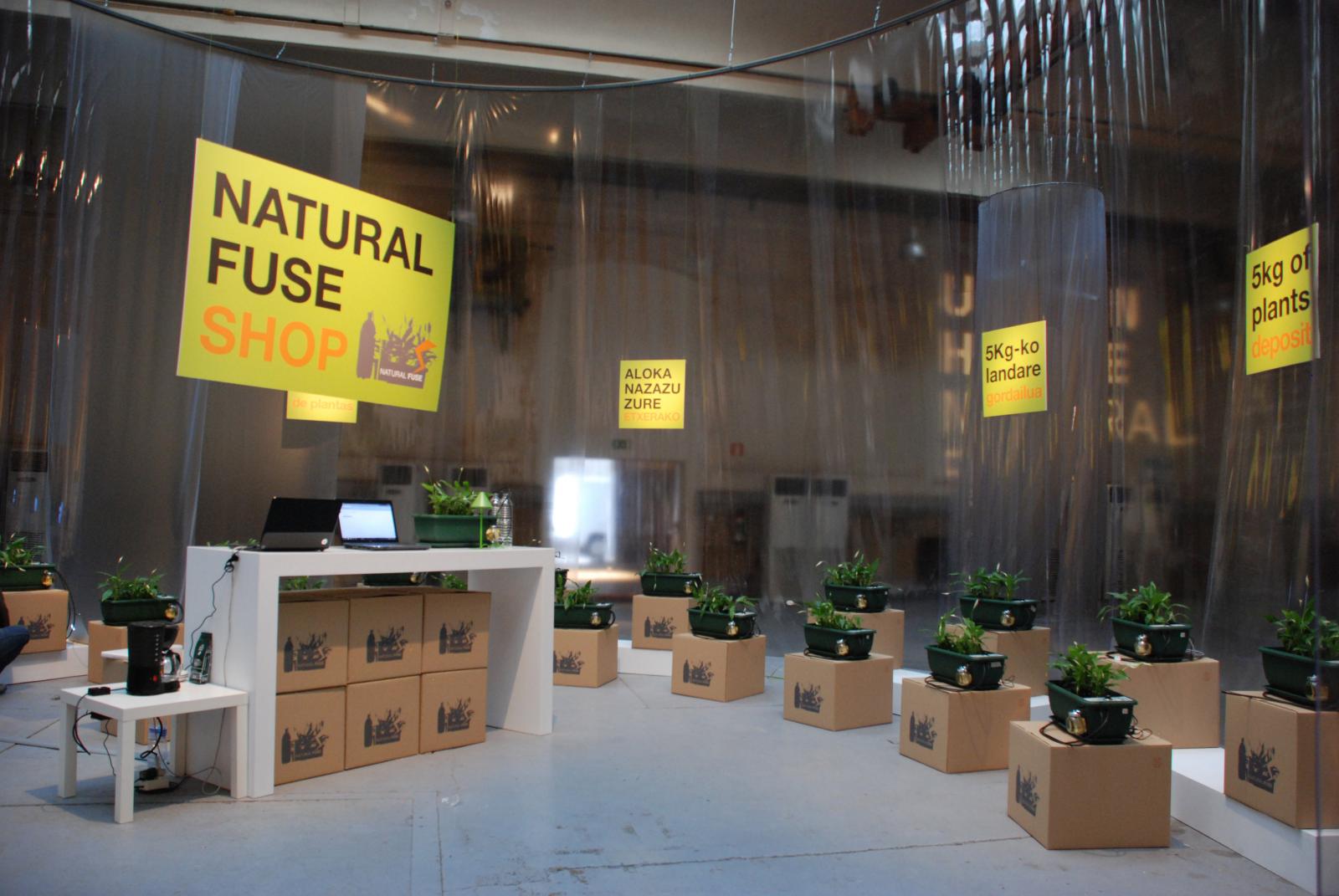 Natural Fuse
